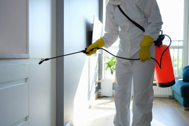 Best Office Mold Removal Services  in Tornado, WV