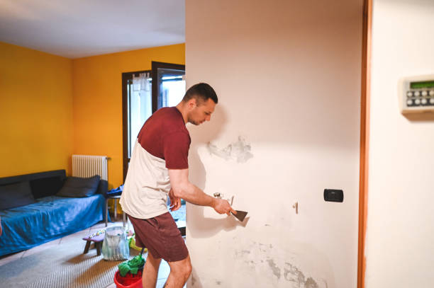 Tornado, WV Mold Removal Company