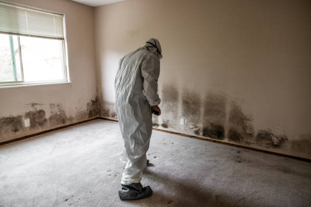 Best Crawl Space Mold Removal  in Tornado, WV