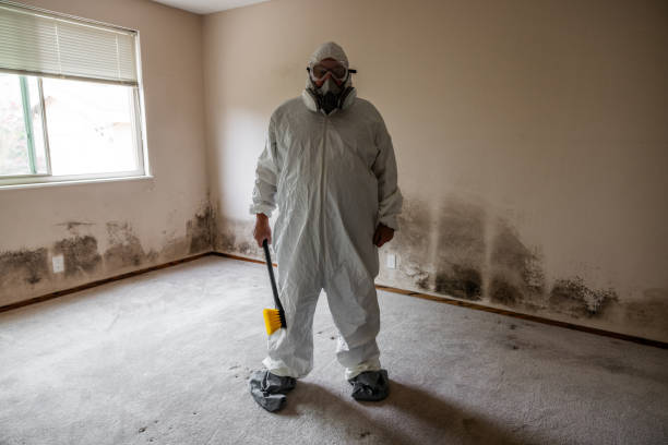Best Mold Testing  in Tornado, WV